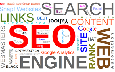 SEO Software vs SEO Agency