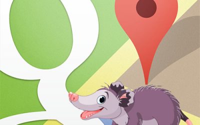 Google Possum Algorithm Update and its Effects on Local SEO