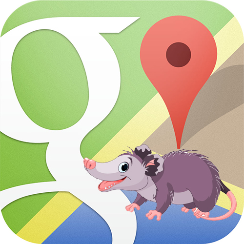 Google Possum Algorithm Update and its Effects on Local SEO