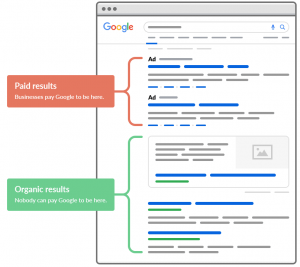 SERP- organic vs paid results