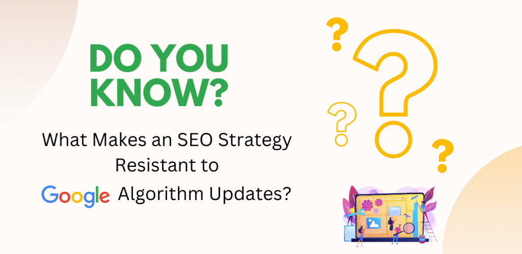 What Makes an SEO Strategy Resistant to Google Algorithm Updates?