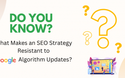 What Makes an SEO Strategy Resistant to Google Algorithm Updates?