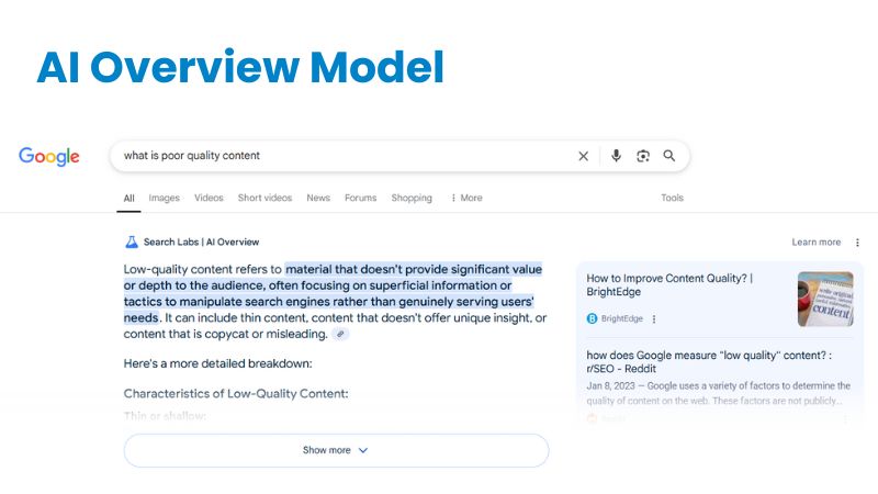 AI overview SERP