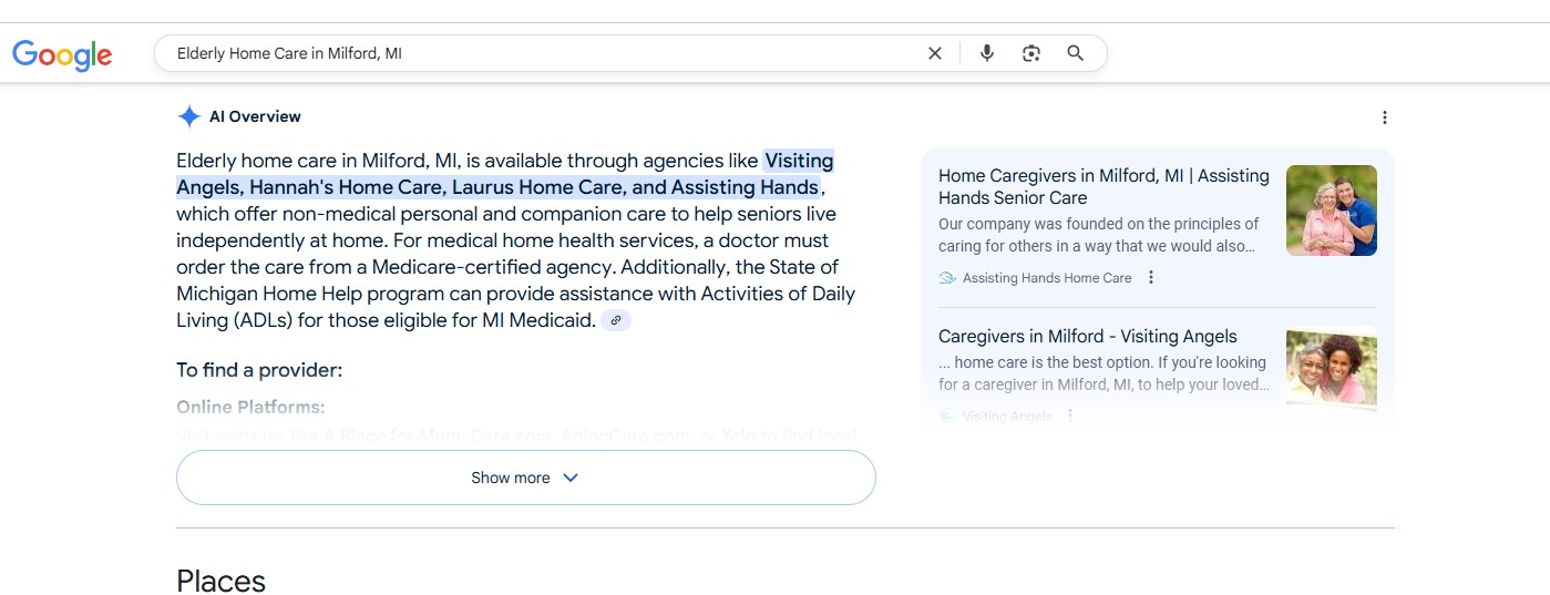 AI overview search